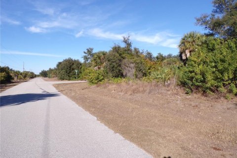 Land in Port Charlotte, Florida № 2163073 - photo 12
