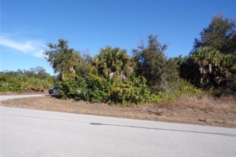 Land in Port Charlotte, Florida № 2163073 - photo 9