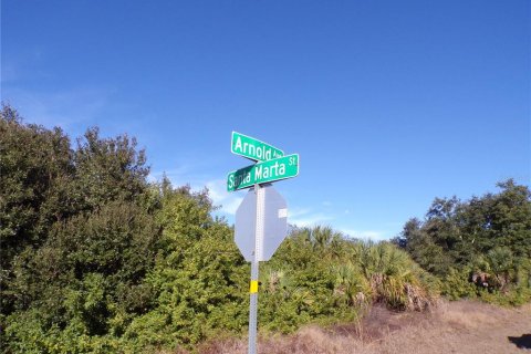 Land in Port Charlotte, Florida № 2163073 - photo 2