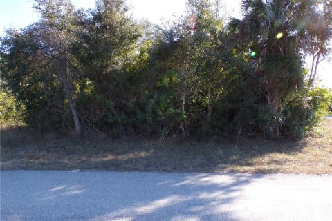 Land in Port Charlotte, Florida № 2163073 - photo 3