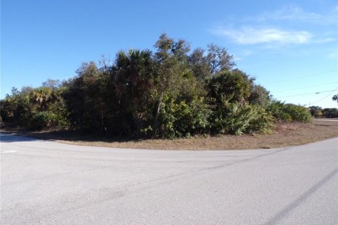 Land in Port Charlotte, Florida № 2163073