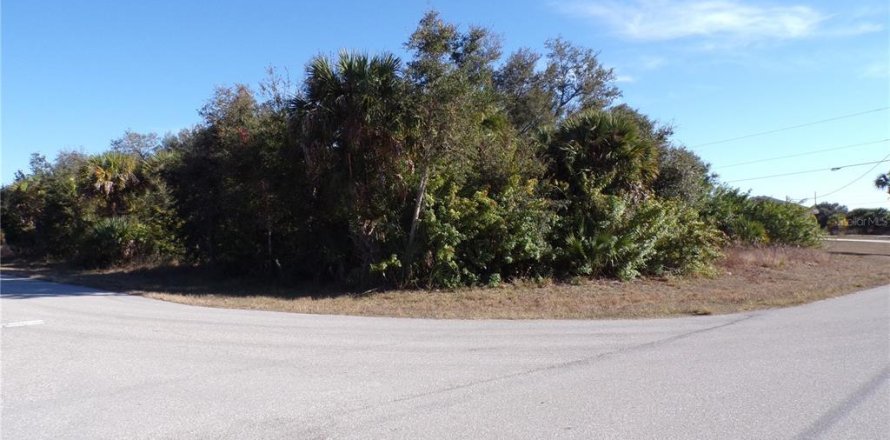 Land in Port Charlotte, Florida № 2163073