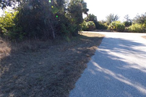 Land in Port Charlotte, Florida № 2163073 - photo 8