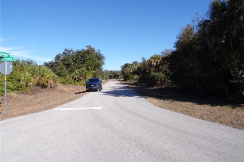 Land in Port Charlotte, Florida № 2163073 - photo 16