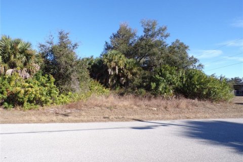 Land in Port Charlotte, Florida № 2163073 - photo 10