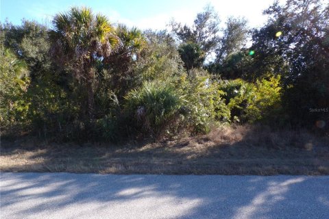 Land in Port Charlotte, Florida № 2163073 - photo 4