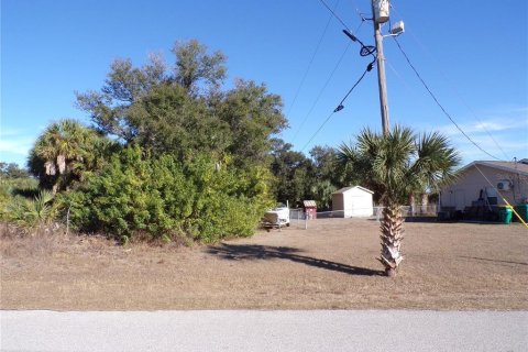 Land in Port Charlotte, Florida № 2163073 - photo 11