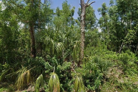 Land in Punta Gorda, Florida № 2164493