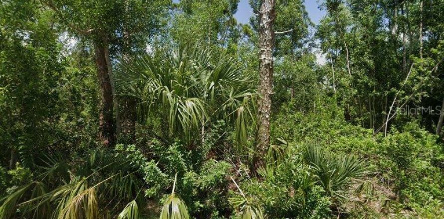 Land in Punta Gorda, Florida № 2164493