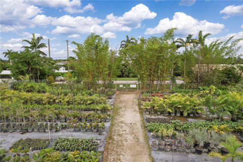 Купить земельный участок в Хомстед, Флорида № 2023357 - фото 6