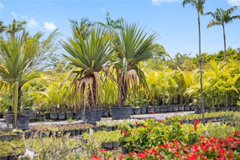 Купить земельный участок в Хомстед, Флорида № 2023357 - фото 5