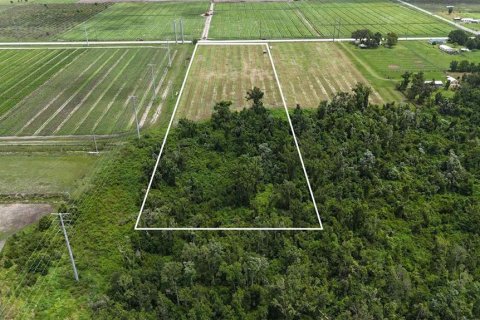 Terreno en venta en Bowling Green, Florida № 1778487 - foto 5