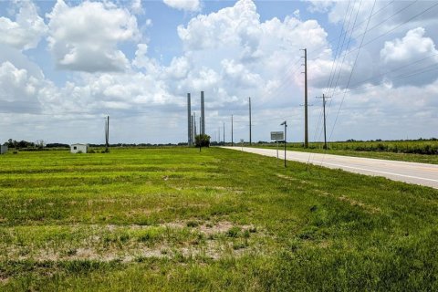 Terreno en venta en Bowling Green, Florida № 1778487 - foto 9