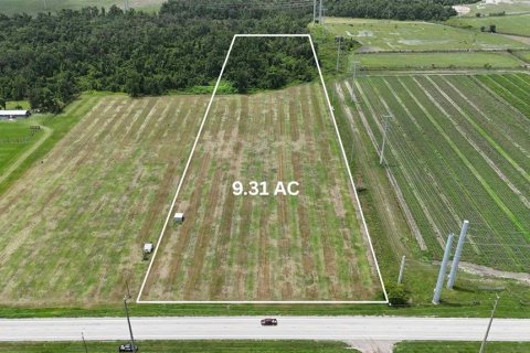 Terreno en venta en Bowling Green, Florida № 1778487 - foto 7