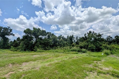 Terreno en venta en Bowling Green, Florida № 1778487 - foto 12