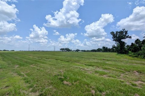 Terreno en venta en Bowling Green, Florida № 1778487 - foto 15