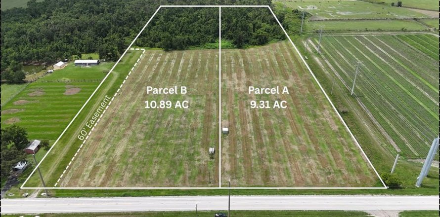 Terreno en Bowling Green, Florida № 1778487