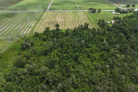 Terreno en venta en Bowling Green, Florida № 1778487 - foto 16