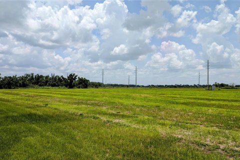 Terreno en venta en Bowling Green, Florida № 1778487 - foto 10