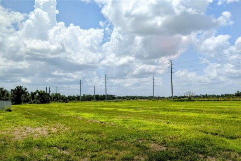 Terreno en venta en Bowling Green, Florida № 1778487 - foto 3