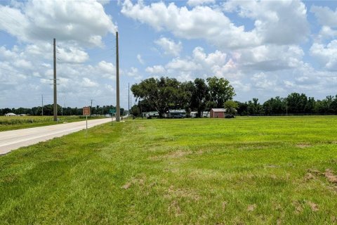 Terreno en venta en Bowling Green, Florida № 1778487 - foto 13