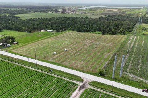 Terreno en venta en Bowling Green, Florida № 1778487 - foto 4