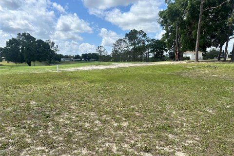 Land in Zellwood, Florida № 2165736 - photo 3