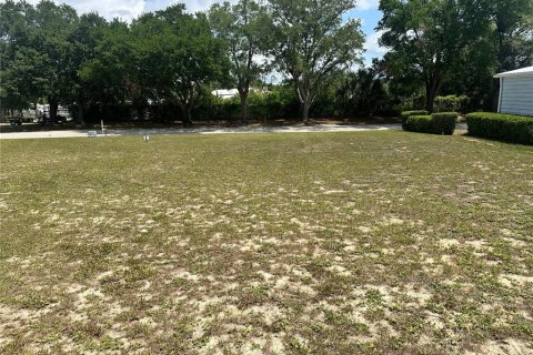 Land in Zellwood, Florida № 2165736 - photo 4