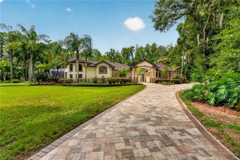 Casa en Land O' Lakes, Florida 3 dormitorios, 435.99 m2 № 2384162