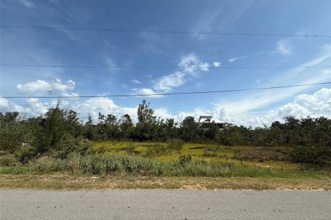 Terrain à vendre à Punta Gorda, Floride № 1758328 - photo 6