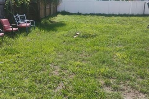 Terrain à Oldsmar, Floride № 2358764