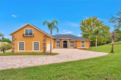 Villa ou maison à vendre à Clermont, Floride: 4 chambres, 351.36 m2 № 2430677 - photo 2