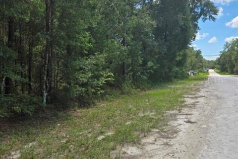Land in Brooksville, Florida № 2228626 - photo 2