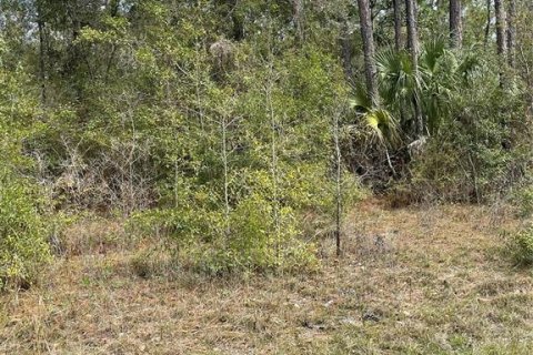 Land in Brooksville, Florida № 2228626 - photo 3