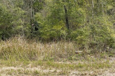 Land in Brooksville, Florida № 2228626