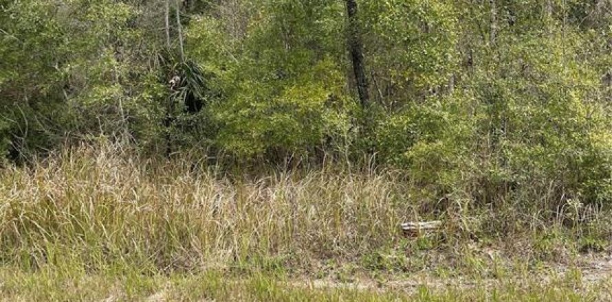 Land in Brooksville, Florida № 2228626