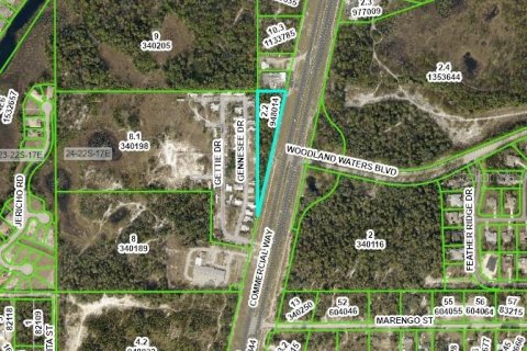 Propiedad comercial en venta en Weeki Wachee, Florida № 212857 - foto 1