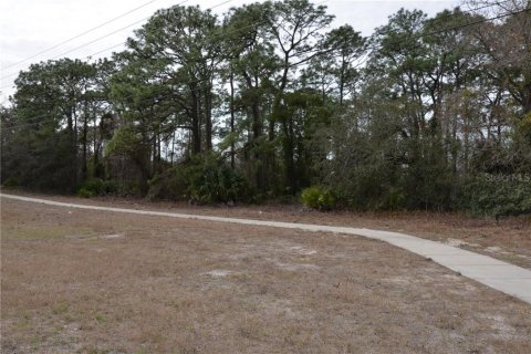 Propiedad comercial en venta en Weeki Wachee, Florida № 212857 - foto 5