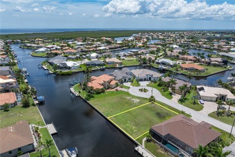 Land in Punta Gorda, Florida № 1793205 - photo 10