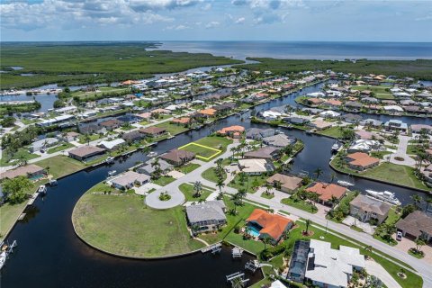 Land in Punta Gorda, Florida № 1793205 - photo 2