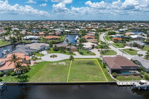 Land in Punta Gorda, Florida № 1793205 - photo 11