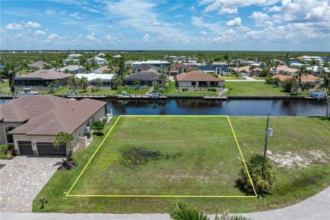 Land in Punta Gorda, Florida № 1793205 - photo 1