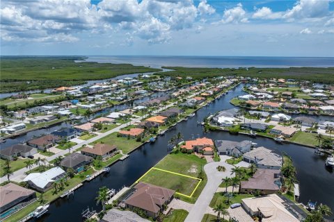 Land in Punta Gorda, Florida № 1793205 - photo 8