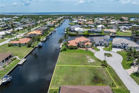 Land in Punta Gorda, Florida № 1793205 - photo 4