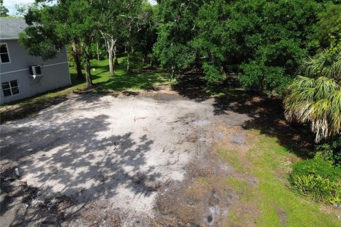 Terreno en venta en Oldsmar, Florida № 1740808 - foto 5