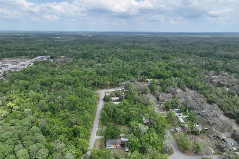 Land in New Port Richey, Florida № 2163457 - photo 5