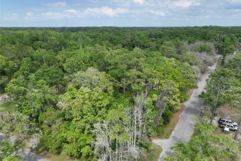 Land in New Port Richey, Florida № 2163457 - photo 18