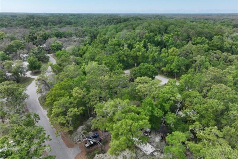 Land in New Port Richey, Florida № 2163457 - photo 14