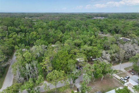Land in New Port Richey, Florida № 2163457 - photo 13