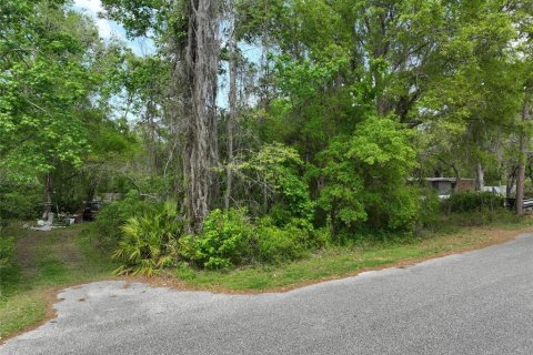 Land in New Port Richey, Florida № 2163457 - photo 22